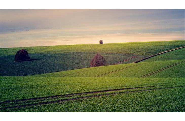 buying land for cheap