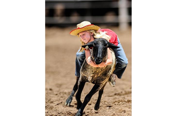 el rodeo decatur il