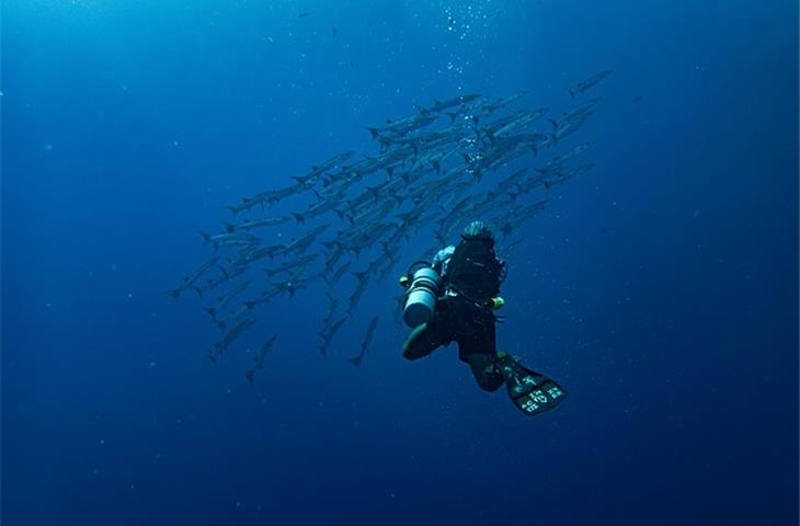 steel dive tanks